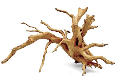 Wood Root - XL / 51-60CM / box